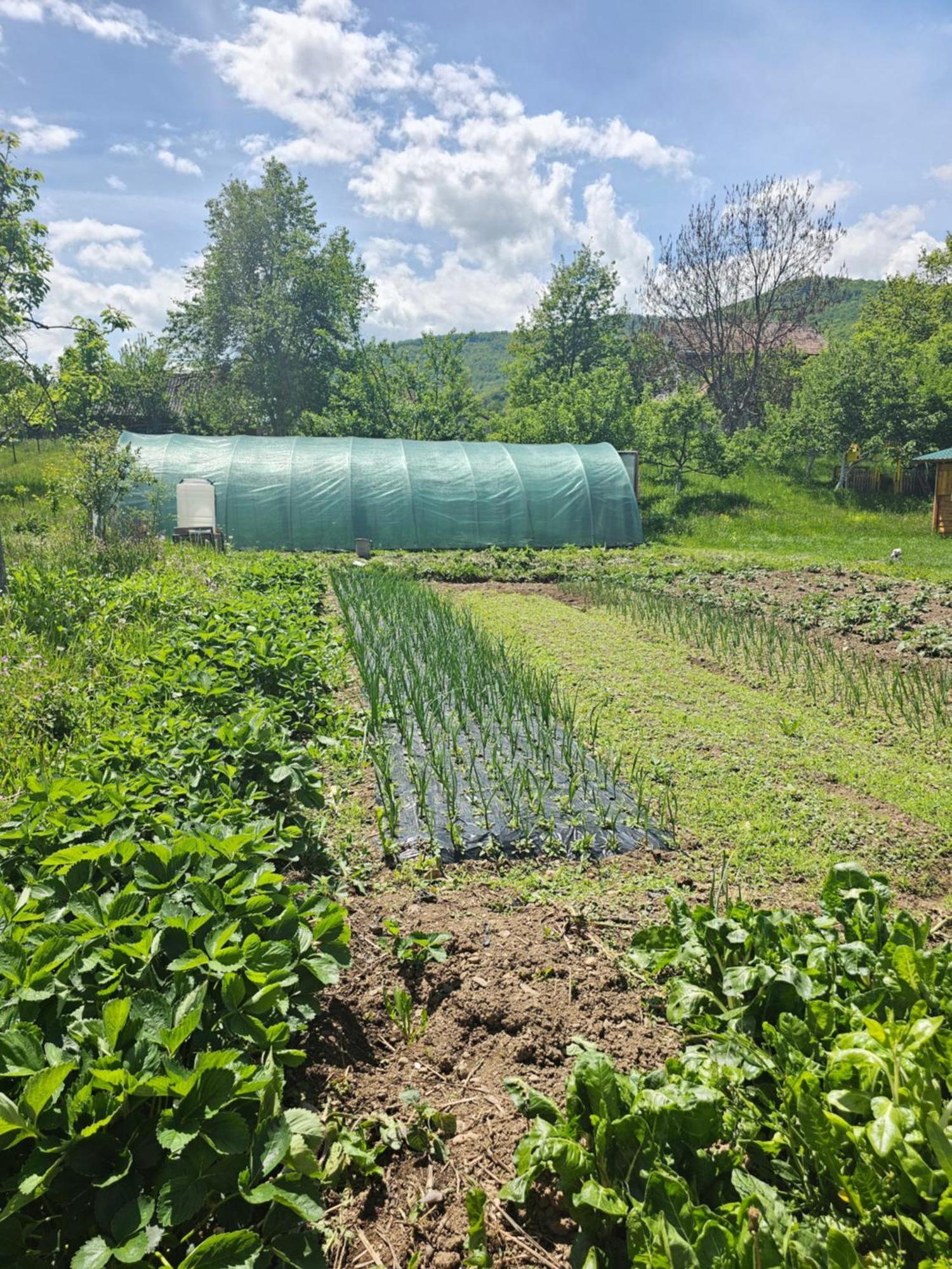 Konaci Oceva Zemlja Bungalovi Konaci Oceva Zemlja Vikendica Mojkovac Zewnętrze zdjęcie