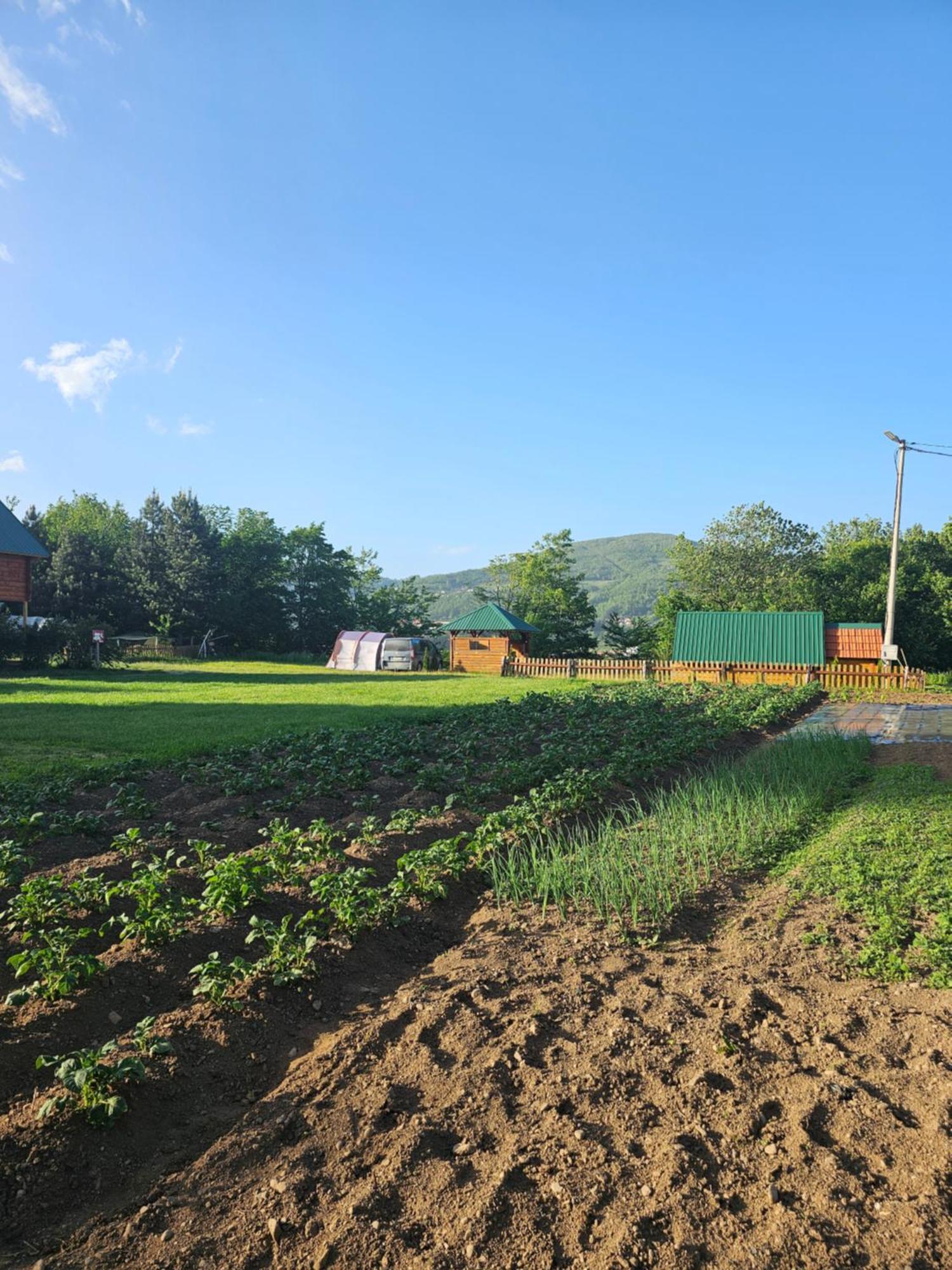 Konaci Oceva Zemlja Bungalovi Konaci Oceva Zemlja Vikendica Mojkovac Zewnętrze zdjęcie
